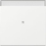 GIRA 367003 Wippe Kontrollf. + BSF System 55 Reinweiß 