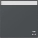 GIRA 367328 Wippe Symb. Klingel + BSF System 55 Anthrazit