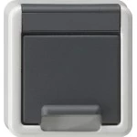 GIRA 494230 Gehäuse-OT SCHUKO-Steckd. KD + SP WG AP Grau 