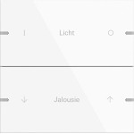 GIRA 5032903 Wippenset 2f indiv. Tastsens.4.95 Alum.Reinweiß(lack.) 