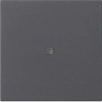 Gira 510428 RF Multi Bedienaufsatz 1-fach für KNX zur Steuerung von System 3000 Einsätzen und entfernten KNX Geräten 