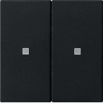 Gira 5107005 RF Multi Bedienaufsatz 2-fach für KNX zur Steuerung von System 3000 Einsätzen und entfernten KNX Geräten 