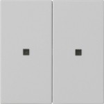 Gira 5107015 RF Multi Bedienaufsatz 2-fach für KNX zur Steuerung von System 3000 Einsätzen und entfernten KNX Geräten 