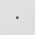 GIRA 536827 S3000 Bedienaufs. BT System 55 Reinweiß m 