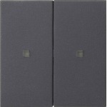 GIRA 536928 Wippe 2f unbedruckt Kontrollf. System 55 Anthrazit 