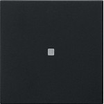 GIRA 5371005 Wippe 1f unbedruckt Kontrollf. System 55 Schwarz m 