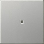 GIRA 5371600 Wippe 1f unbedruckt Kontrollf. System 55 Edelstahl 