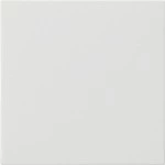 GIRA 537203 Wippe 1f unbedruckt System 55 Reinweiß 