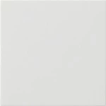 GIRA 537227 Wippe 1f unbedruckt System 55 Reinweiß m 