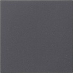 GIRA 537228 Wippe 1f unbedruckt System 55 Anthrazit 