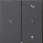Gira 538128 Manuelle und zeitgesteuerte Bedienung von Jalousien, Rollläden, Beleuchtung mit Bluetooth-Steuerung via App 