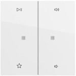 Gira 538470 Wippe 2f Audiostrg System 70 Reinweiß 