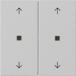 GIRA 5386015 Wippe 2f Pfeile Kontrollf. System 55 Grau m 