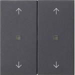 GIRA 538628 Wippe 2f Pfeile Kontrollf. System 55 Anthrazit 