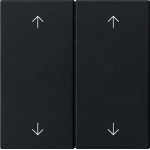 GIRA 5387005 Wippe 2f Pfeile System 55 Schwarz m 