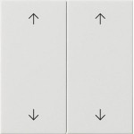 GIRA 538703 Wippe 2f Pfeile System 55 Reinweiß 