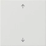 GIRA 538903 Wippe 1f Pfeile System 55 Reinweiß 