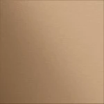 Gira 5554921 Frontplatte für Info- oder Blindmodul passend für Gira System 106 in Bronze mit erhöhtem Berührungsschutz 