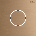 Gira 5578921 Frontplatte in Bronze passend für Sprachmodul der Serie System 106 von 