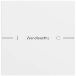 Gira 576172 Wippenset 1-fach individuell für Tastsensor 4.70 in Reinweiß seidenmatt lackiert (Zubehör) 