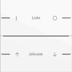 GIRA 576203 Wippenset 2f indiv. Tastsens.4.55 Reinweiß 