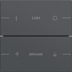 GIRA 576228 Wippenset 2f indiv. Tastsens.4.55 Anthrazit 