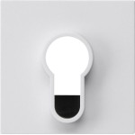 GIRA 866403 Abd. Schlüsselsch./-taster o.Aufdruck System 55 Reinweiß 