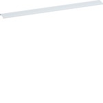 Hager FWU00C6 Kabelkanaldeckel seitlich für Feldverteiler FWU 669mm 