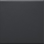 Hager GW1B9011 Wippe 1-fach für Schalter/Taster für Rahmenblende 55 halogenfrei graphitschwarz 