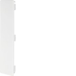 Hager LF6023069016 Endstück halogenfrei zu Leitungsführungskanal LF/LFF/FB 60x230mm verkehrsweiß 