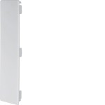 Hager M55437035 Endstück aus PVC zu Leitungsführungskanal LF/FB 60x230mm lichtgrau 