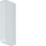 Hager M59587035 Endstück schnittkaschierend PVC zu Leitungsführungskanal LF 18x45mm lichtgrau 