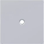 Hager WAF1048TA Zentralstück für Zugschalter/-taster, Ax/Cx, titan metallisch, lackiert 