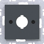 Hager WAF1171AT Zentralstück für Melde- u. Befehlsg. Ø 18,8 mm, Ax/Cx, anthr mt la 