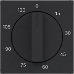 Hager WAF1313BM Zentralstück für mechanische Zeitschaltuhr 0-120 min, Ax/Cx, nachtschwarz matt 