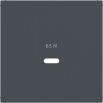 Hager WAF1511AT Zentralstück für Ladesteckdose USB-C Power Modul, Ax/Cx, anthrazit matt, lack 