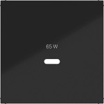 Hager WAF1511BG Zentralstück für Ladesteckdose USB-C Power Modul, Ax/Cx, nachtschwarz glänzend 