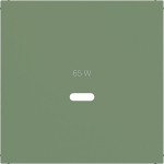 Hager WAF1511C04 Zentralstück für Ladesteckdose USB-C Power Modul, Ax/Cx, aloe, matt 