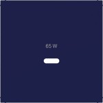 Hager WAF1511C06 Zentralstück für Ladesteckdose USB-C Power Modul, Ax/Cx, ocean, halbglänzend 