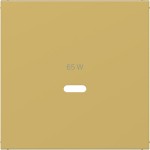 Hager WAF1511C08 Zentralstück für Ladesteckdose USB-C Power Modul, Ax/Cx, gold, metallisch 
