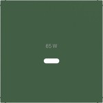 Hager WAF1511C10 Zentralstück für Ladesteckdose USB-C Power Modul, Ax/Cx, forest, matt 