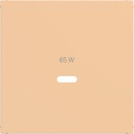 Hager WAF1511C12 Zentralstück für Ladesteckdose USB-C Power Modul, Ax/Cx, petal, matt 
