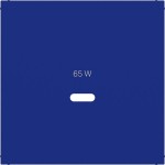 Hager WAF1511C14 Zentralstück für Ladesteckdose USB-C Power Modul, Ax/Cx, cobalt, matt 