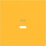 Hager WAF1511C16 Zentralstück für Ladesteckdose USB-C Power Modul, Ax/Cx, saffron, matt 