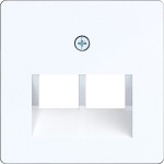 Hager WAF2108WG Zentralplatte für UAE Steckd. 2f, 50x50 mm, A.x/C.x, lichtweiß gl 