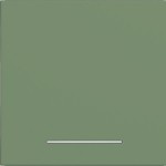 Hager WAW1031C04 Wippe 1fach, klare Linse, A.x/C.x, aloe, matt 