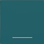 Hager WAW1031C09 Wippe 1fach, klare Linse, A.x/C.x, azure, matt 