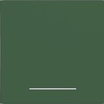 Hager WAW1031C10 Wippe 1fach, klare Linse, A.x/C.x, forest, matt 