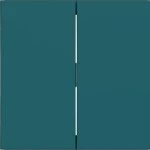 Hager WAW2000C09 Wippe 2fach, A.x/C.x, azure, matt 