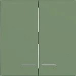 Hager WAW2031C04 Wippe 2fach, klare Linse, A.x/C.x, aloe, matt 